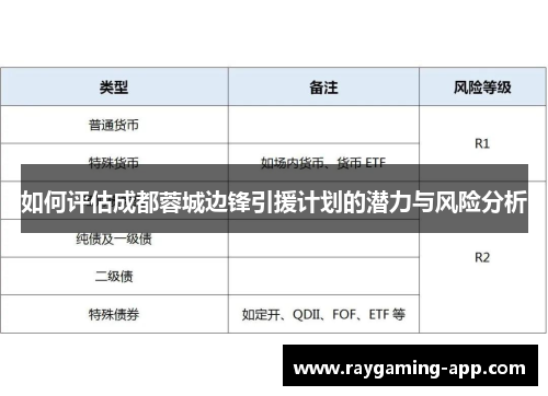 如何评估成都蓉城边锋引援计划的潜力与风险分析