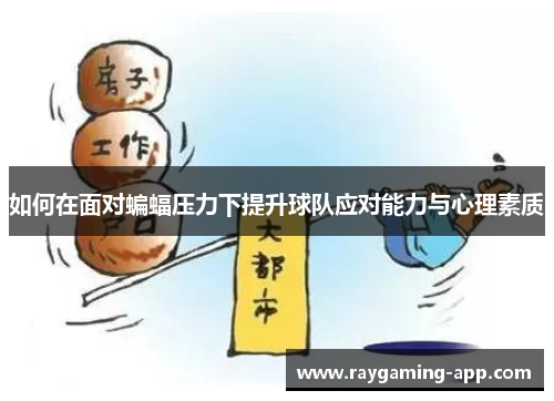 如何在面对蝙蝠压力下提升球队应对能力与心理素质